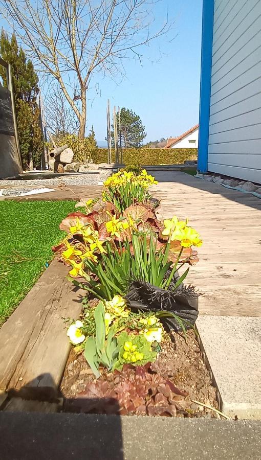 Logement De Charme Coinches Esterno foto